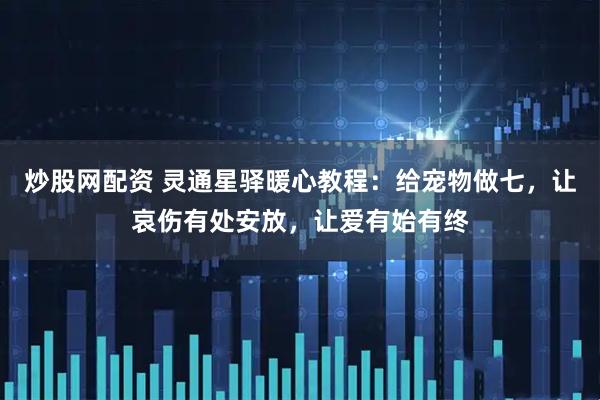 炒股网配资 灵通星驿暖心教程:给宠物做七,让哀伤有处安放,让爱有始有终