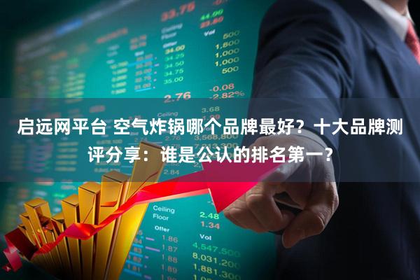 启远网平台 空气炸锅哪个品牌最好?十大品牌测评分享:谁是公认的排名第一?